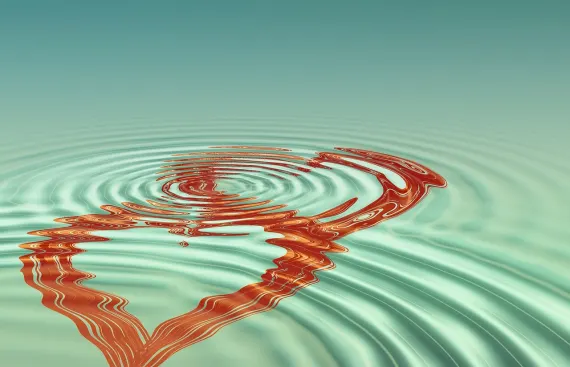 BingoCom Kasino Tuki